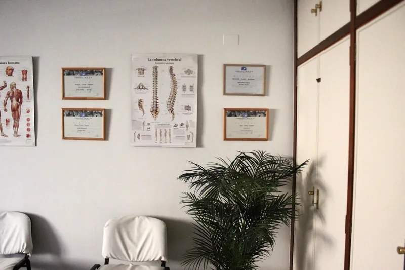Pared de la sala de espera con los diplomas de quiromasaje y reflexología y una lámina de anatomía de la columna